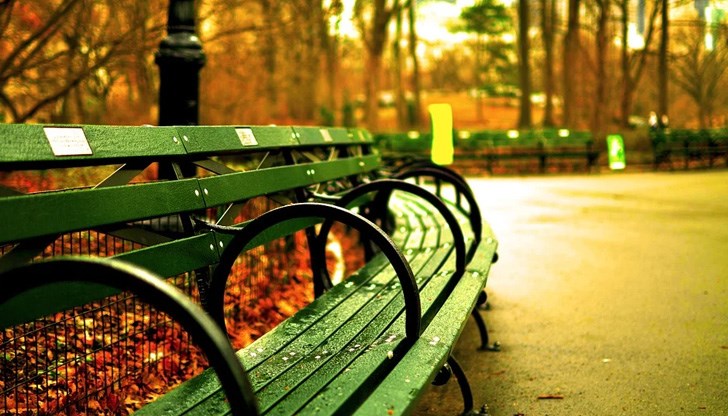 В повечето райони ще духа умерен вятър