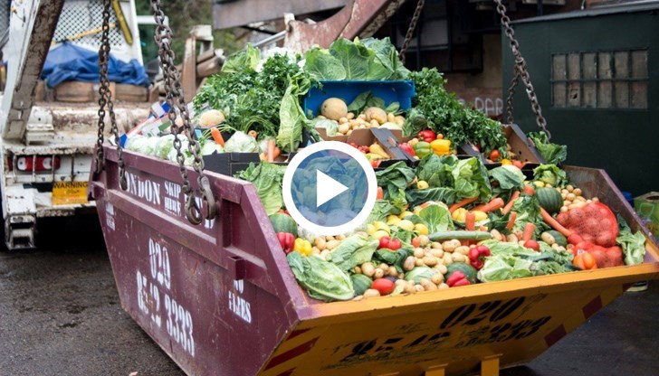 Храната, която домакинствата изхврълят всеки ден, може да храни 3 милиарда души