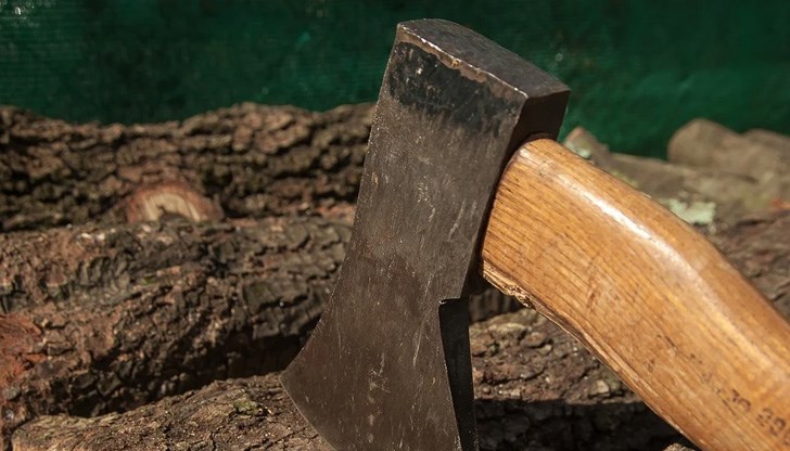 4-те кубика незаконна дървесина били намерени в частен имот