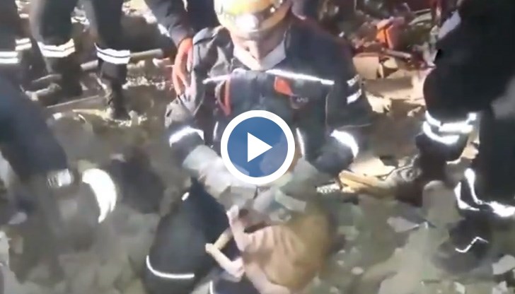 Спасителните екипи дълго време се борят, за да освободят животното от капана на рухнала сграда
