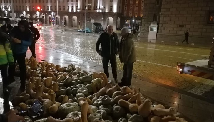 Малко преди 19.00 ч. камион, натоварен с тикви, бе стоварен на площад "Независимост" Малко преди 19.00 ч. камион, натоварен с тикви, бе стоварен на площад "Независимост"