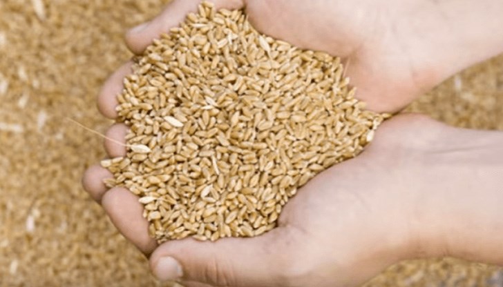 Тайната на успеха се дължи на прилагането на безоранна технология