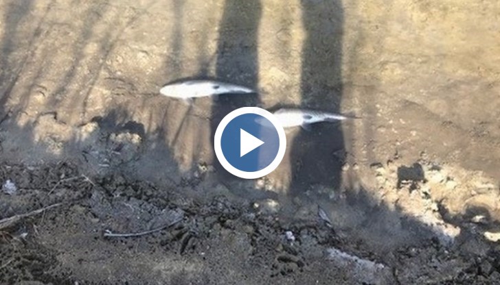 Хората искат отговор на въпросите, има ли виновен за екокатастрофата и ако има – кой е той