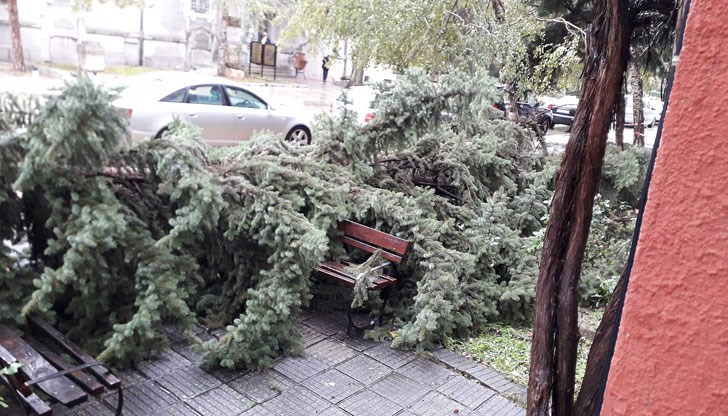 Шквал със скорост 72 км/час е преминал през крайдунавския град