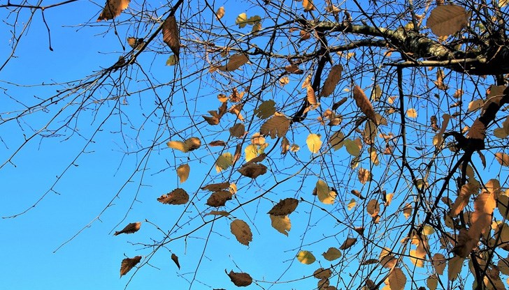 На места все още ще превалява дъжд На места все още ще превалява дъжд