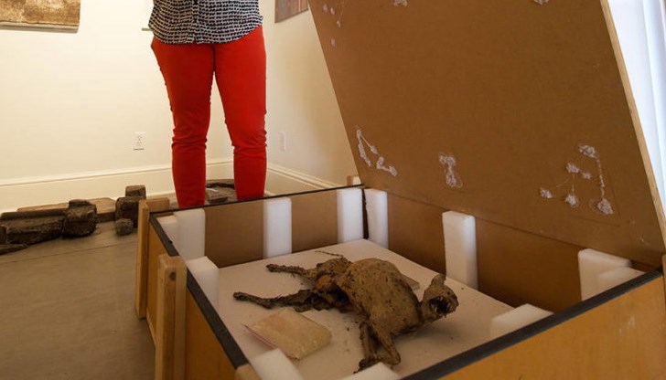 Открил я в стената на къщата на своята баба