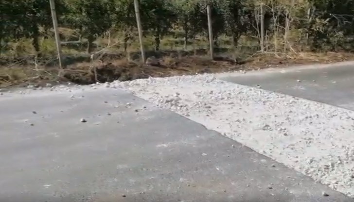 Плащаме милиарди за пътища гробници, а Борисов и Гешев се чудят защо площадите викат "Оставка"