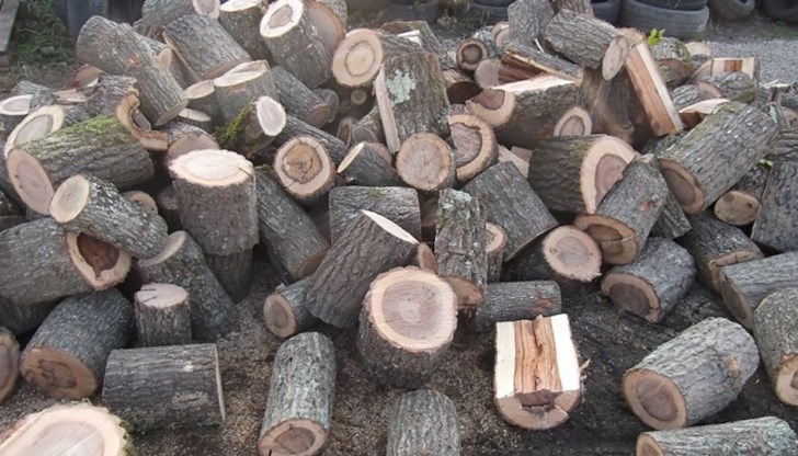 Служители на ОДМВР – Русе установиха няколко случая на съхранение на незаконна дървесина