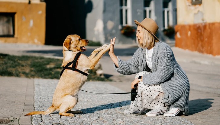 Обичат домашния си любимец повече от приятелите си