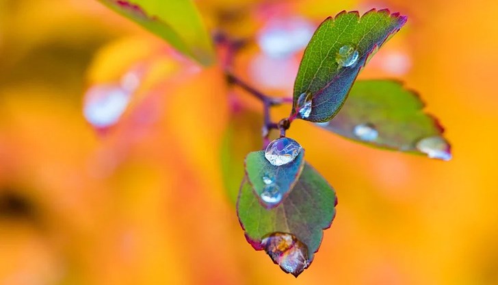 В източните райони през деня ще е без валежи
