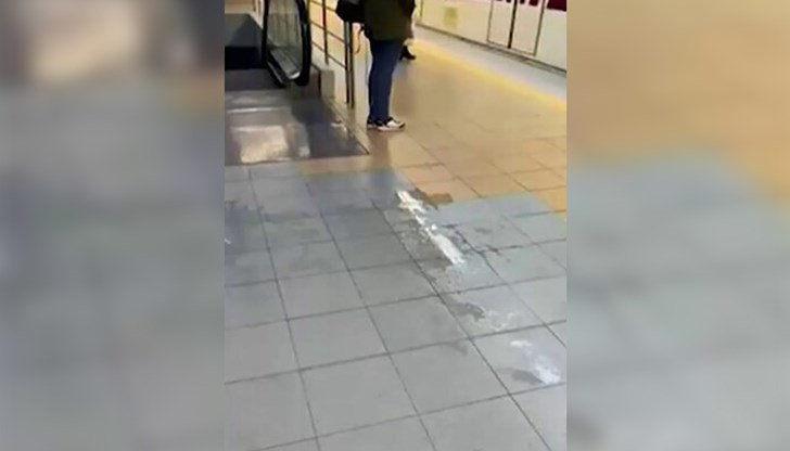 Течовете не били опасни, убеждават от управата Течовете не били опасни, убеждават от управата