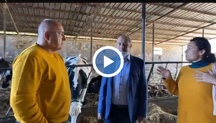 С него е и министърът на земеделието Десислава Танева