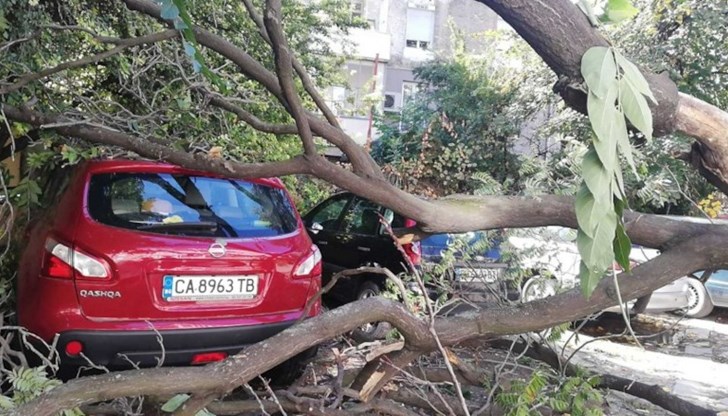 Цяло чудо е, че няма пострадали хора