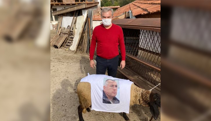 Румен Петков се снима с овца, наметната с рекламна фланелка на Бойко Борисов