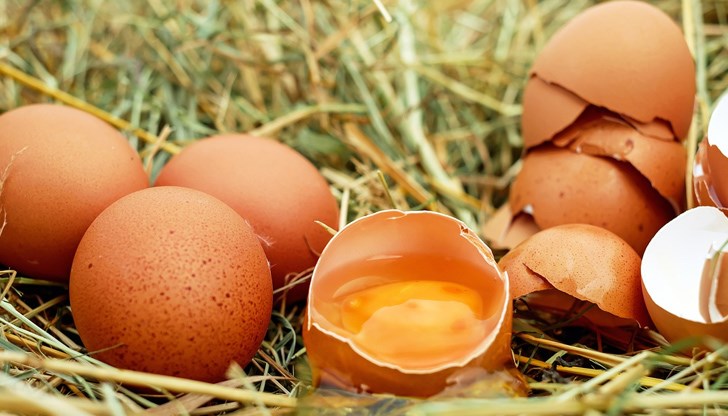 Не се препоръчва да се ядат яйца с прилепнал към черупката жълтък, особено ако е потъмнял, както и яйца с напукани черупки, тъй като те стават уязвими на бактерии