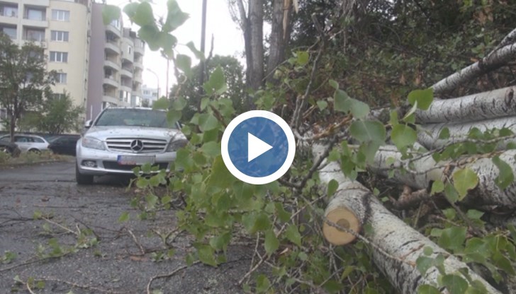 Бурята в морския град нанесе и други щети