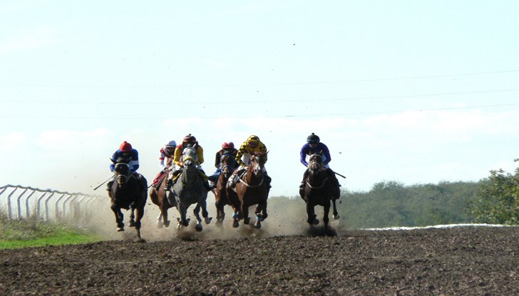 Събитието, организирано от братята Иван и Валери Йорданови, се превърна в истински празник за любителите на конния спорт