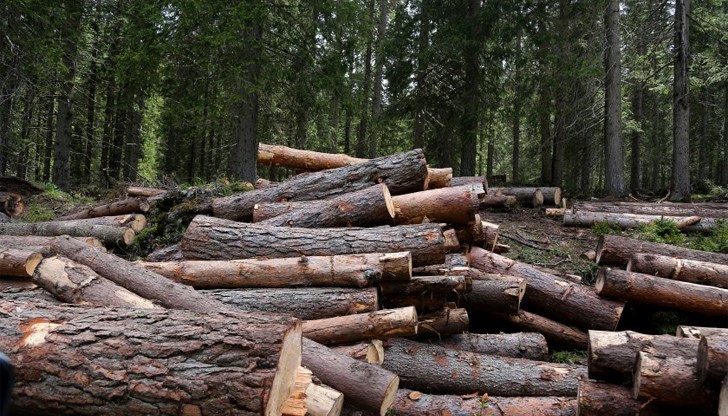 От бранша искат помощ от държавата, настояват да се промени и ценовата политика на държавните предприятия