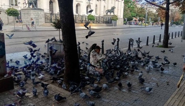 Животът на Величка Коцева рухва през 2013 заради пирамида