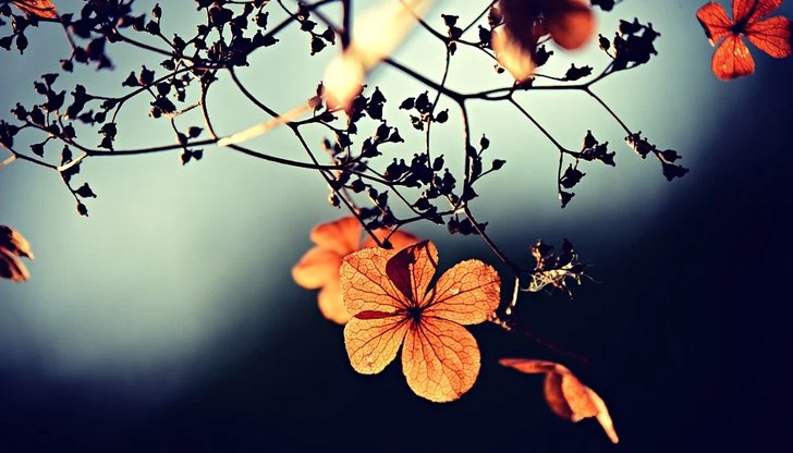 Първата половина от следващата седмица ще е по-хладно на изток Първата половина от следващата седмица ще е по-хладно на изток