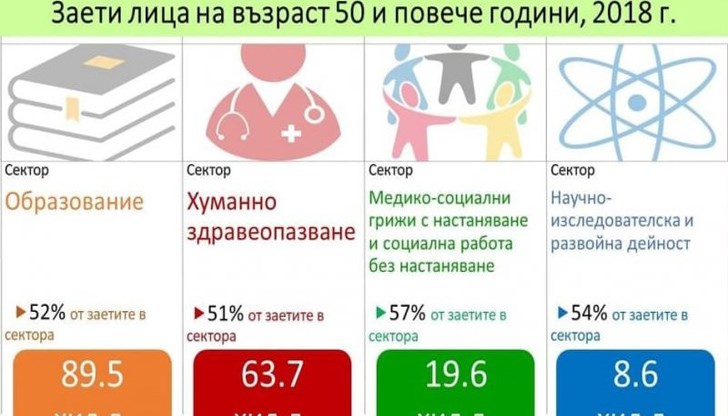 Настоящата структура на българския пазар на труда в по-голямата си част е изостанала, налична е само нискотехнологична структура на производство, която създава продукти с ниска добавена стойност.
