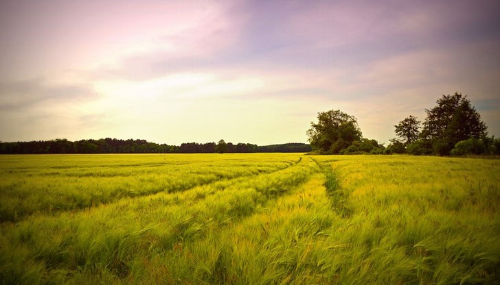 Удължават с пет години правото на общините за сделки