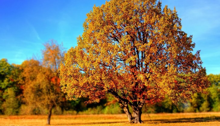 Циганското лято ще продължи още няколко дни