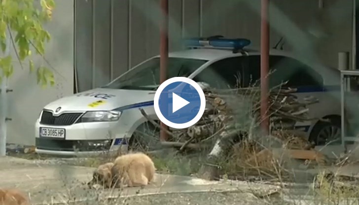 Към мястото пътува и главният прокурор Иван Гешев