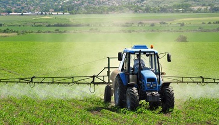 Днес в България има между 5 и 10 пъти по-малко овце, крави, свине, отколкото в края на соца. Без преувеличение.  След 30 години развитие доматите две трети са внос,  а по последни данни свинското е 90 процента внос