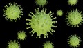 200 респираторни вируса могат да атакуват човека