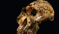 Откриха скелет на 2 милиона години