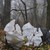 Над 40 тона отпадъци бяха почистени при акция в лесопарка "Липник"