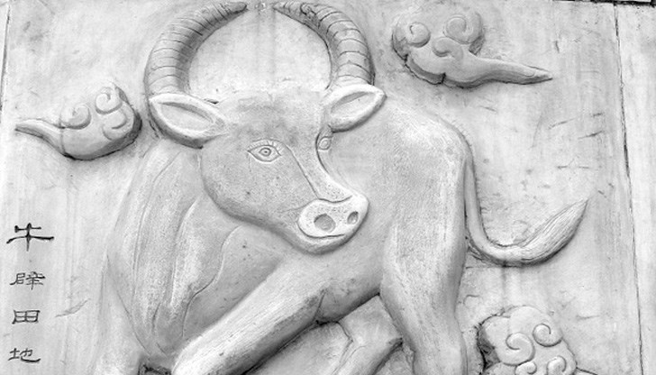 2021 г. ще бъде по-добра година за почти всички знаци от зодиака, които са имали проблеми с парите или кариерата си