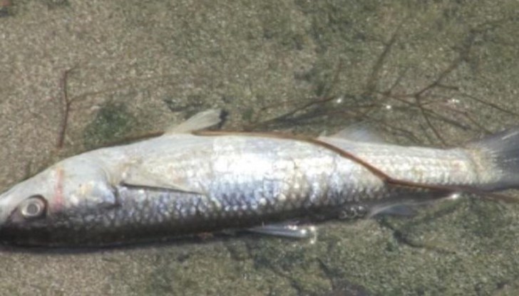 Водата в язовира е източена заради ремонт на главния изпускател