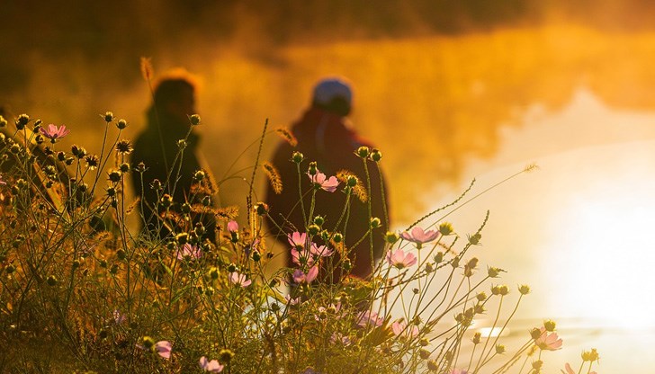 През следващата седмица температурите сутрин ще паднат под 5 градуса През следващата седмица температурите сутрин ще паднат под 5 градуса