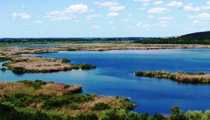 Младите шаранчета са укрепнали и ще имат достатъчно време да се адаптират преди настъпването на зимата
