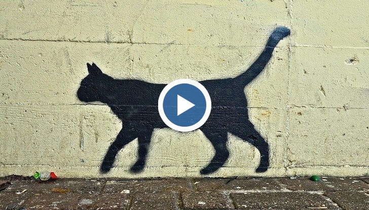 Българите сме суеверен народ