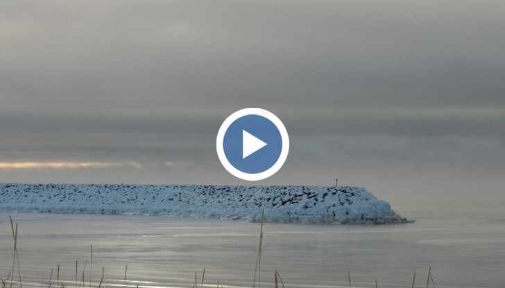 От 1979 година досега ледът се е стопил с две трети