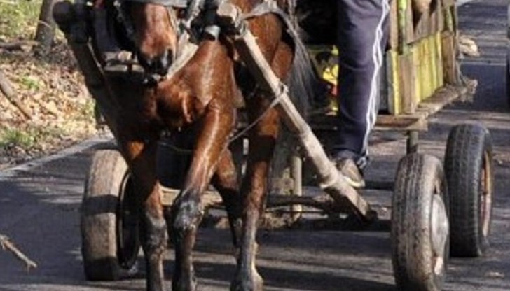 Мъжът е отведен в полицията, случаят е документиран и е започнато разследване като е образувано досъдебно производство