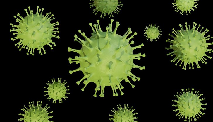 Мутациите на грипните вируси са породили много различни подтипове и щамове