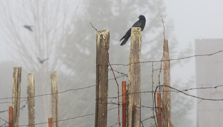 В равнинната част от страната ще е облачно и мъгливо, като временно подобрение на видимостта и разкъсване на облачността ще настъпва около обяд