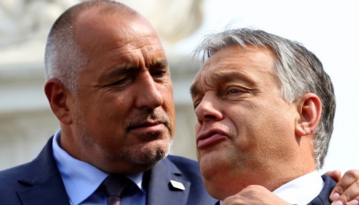 Засега все още няма клинично доказана ваксина Засега все още няма клинично доказана ваксина