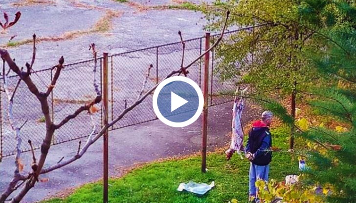 Подобни „жертвоприношения” оказва се не са рядкост в квартала