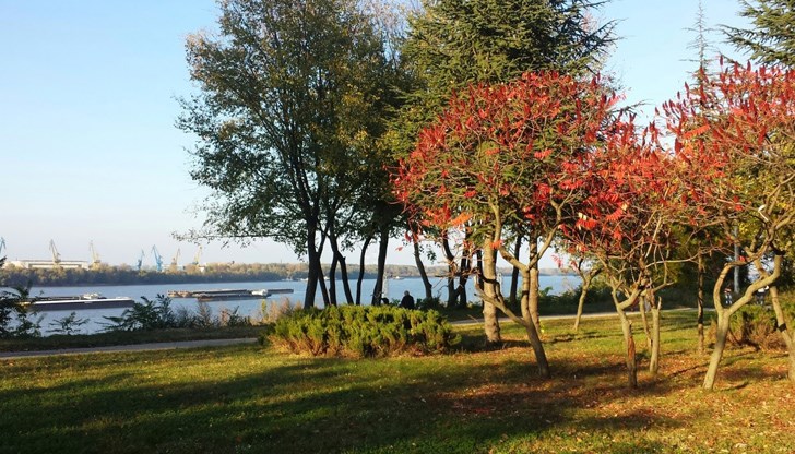 Максималните температури ще са между 8 и 13 градуса Максималните температури ще са между 8 и 13 градуса