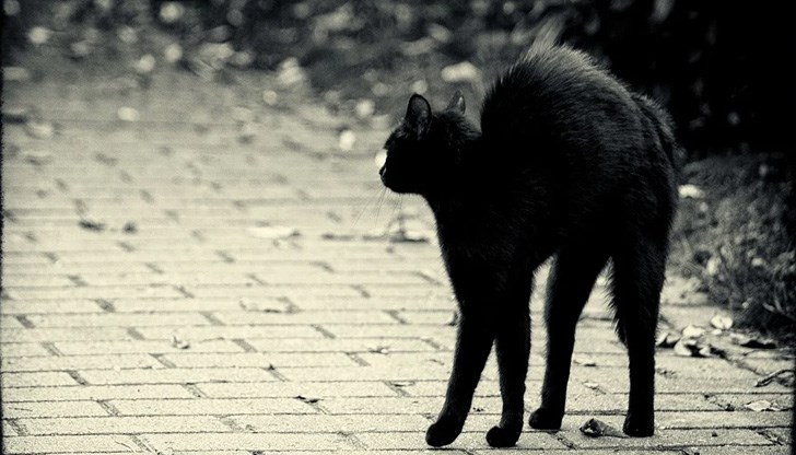 Нека посрещнем датата с усмивка