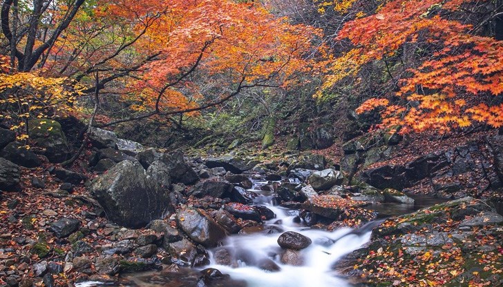 Типичното есенно време ни очаква в следващите дни