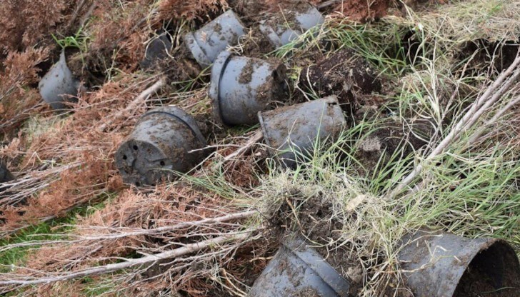 Става дума за нарушения при изпълнението на проекта за паркоустрояването на най-големия жилищен комплекс "Орел" в периода 2016-2018 година