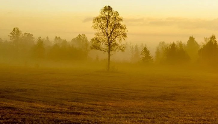 Максималните температури ще бъдат предимно между 10° и 15°