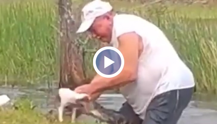 74-годишният Ричард се разхождал със своя шпаньол Гънър около езерото близо до дома си в Естеро, Флорида, когато алигаторът атакува от водата и сграбчва кучето