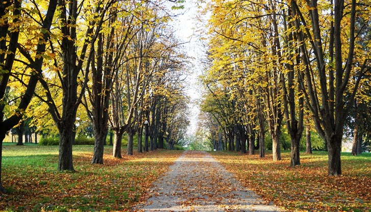Нанесената щета се уточнява